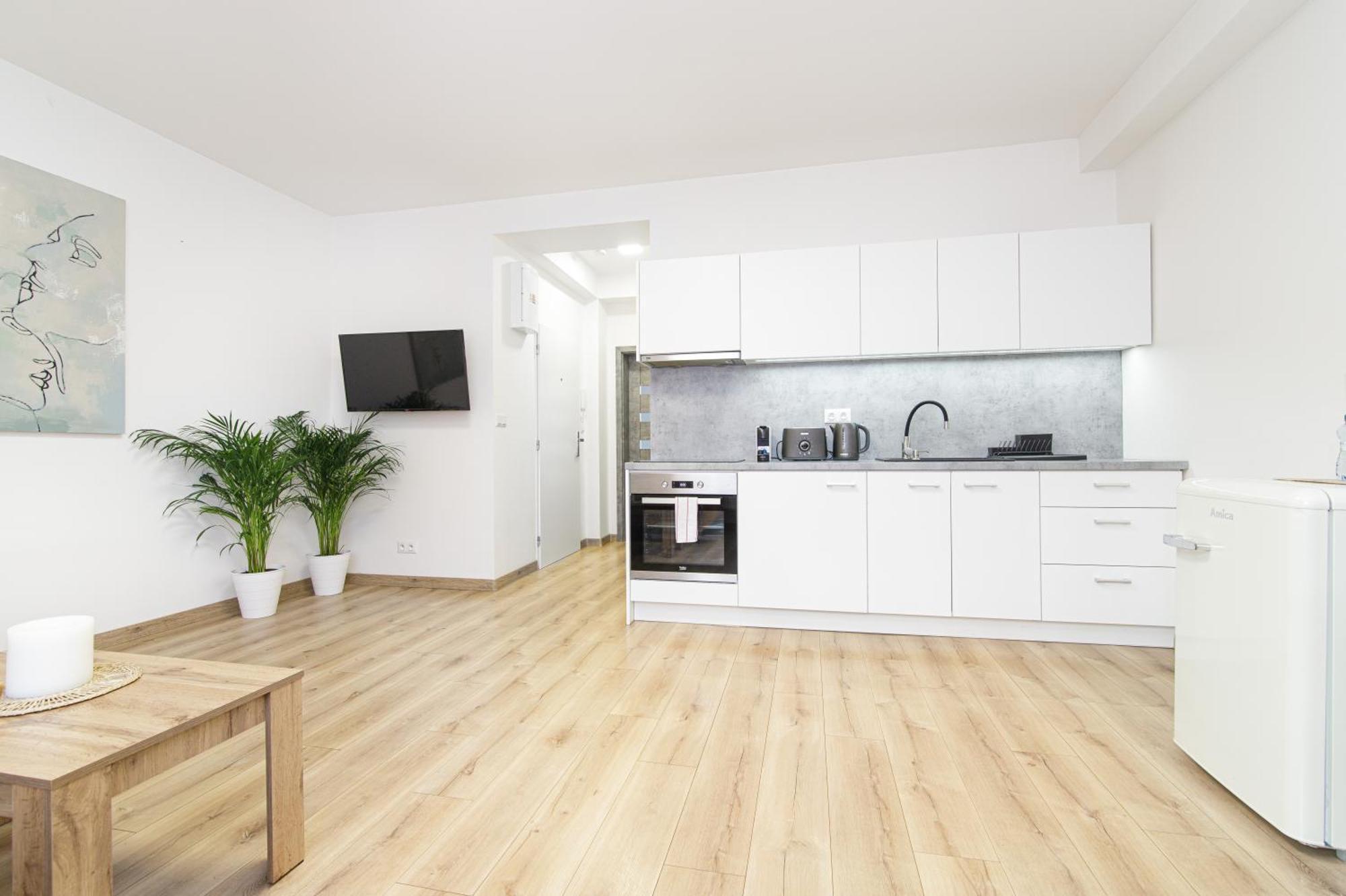 Stud Mb Apartment Ostrava